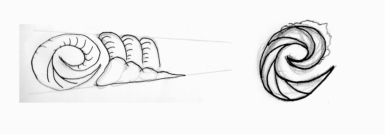 Sketches with ink for detail. Sketches with ink for detail.