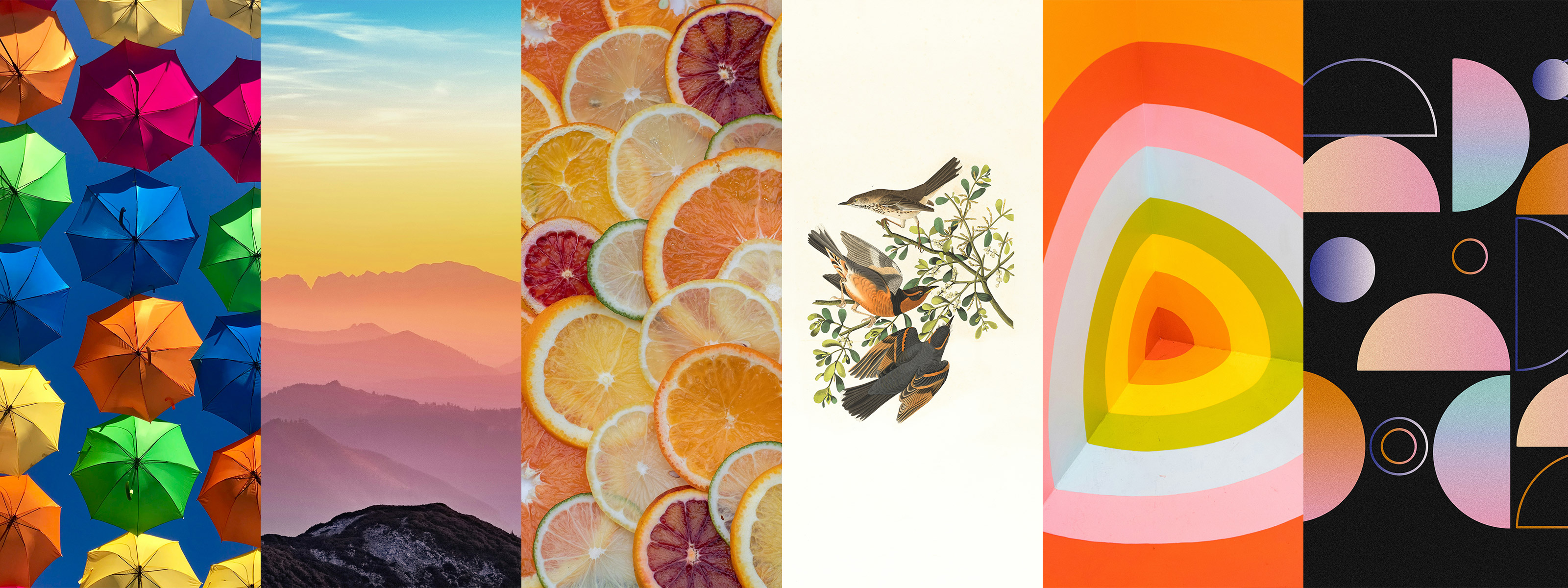 Test images from left to right: Ubrella, Sunset, Citrus, Birds, Colors, Abstract