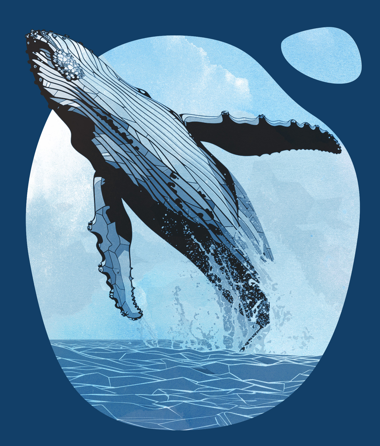 whales and water